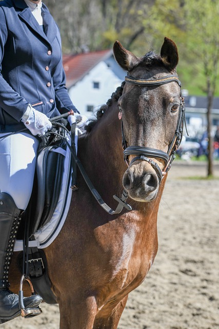 篮球NBA最新MVP榜出炉，新领跑者诞生